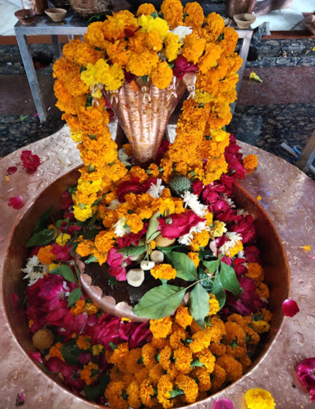 फतेहपुर के ताम्बेश्वर महादेव मंदिर का शिवलिंग.