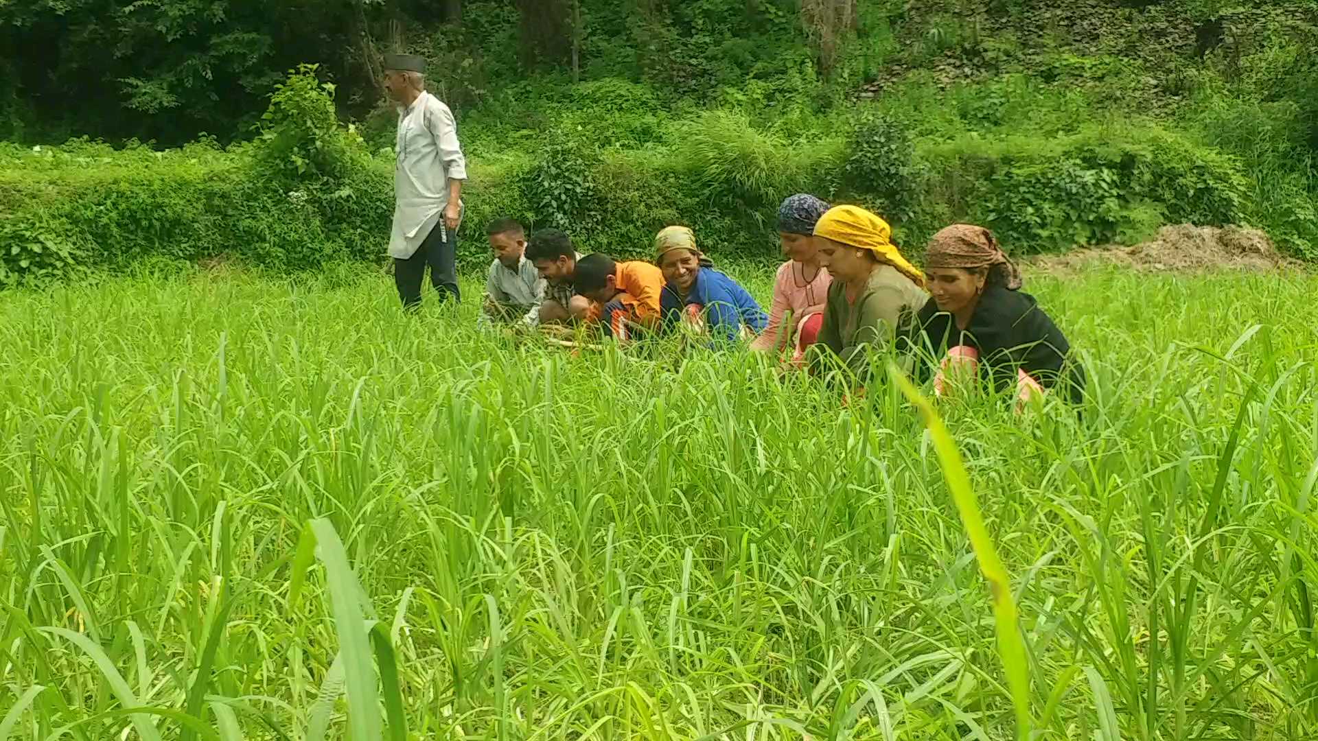 Jaunsar Bawar farming