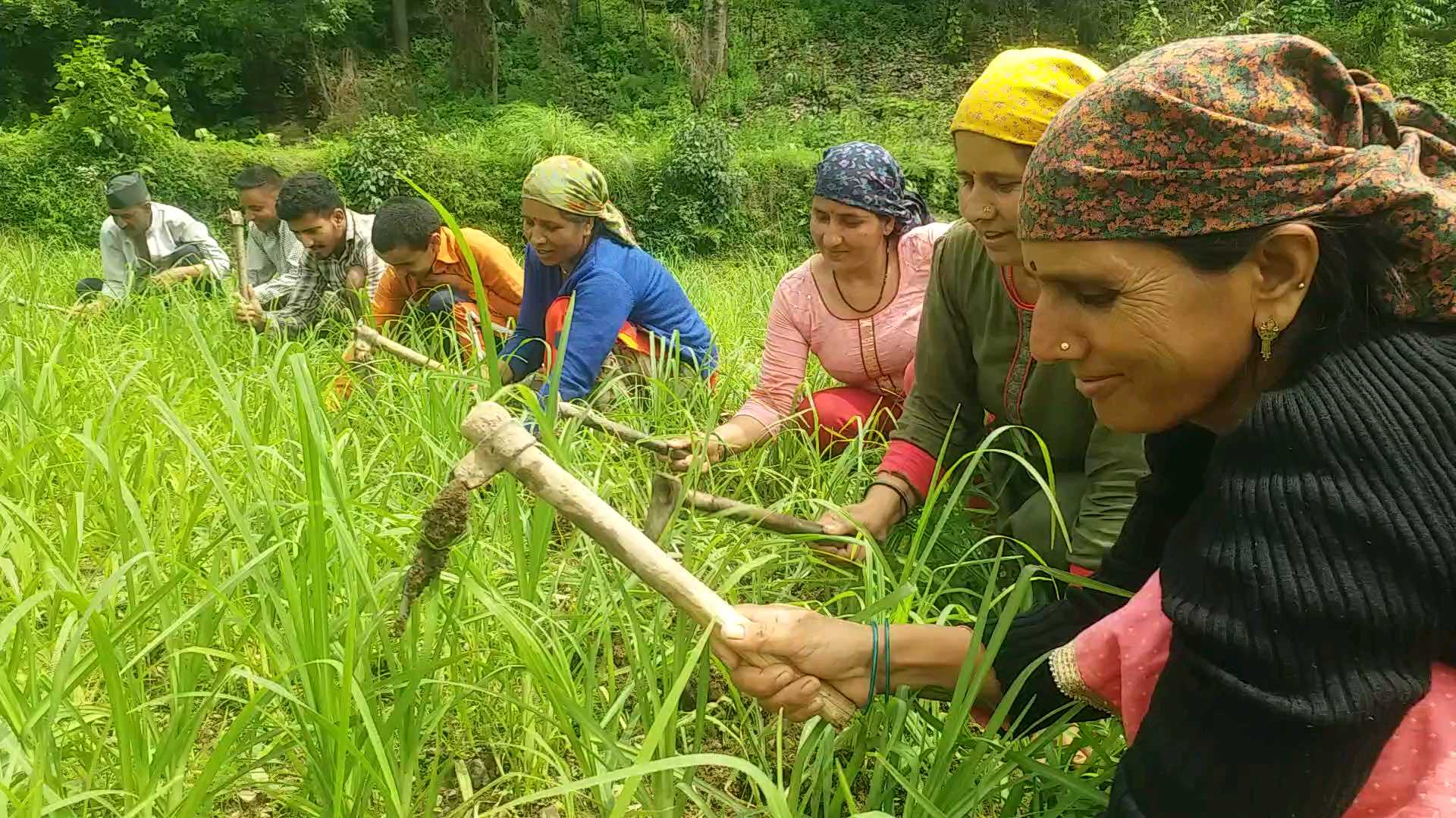 Jaunsar Bawar farming