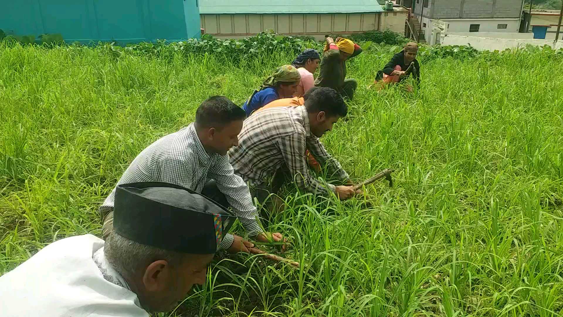 Jaunsar Bawar farming