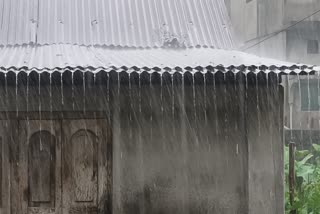 WEATHER FORECAST