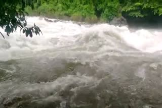 FLOOD  IDUKKI  KERALA WEATHER  HEAVY RAIN ALERT