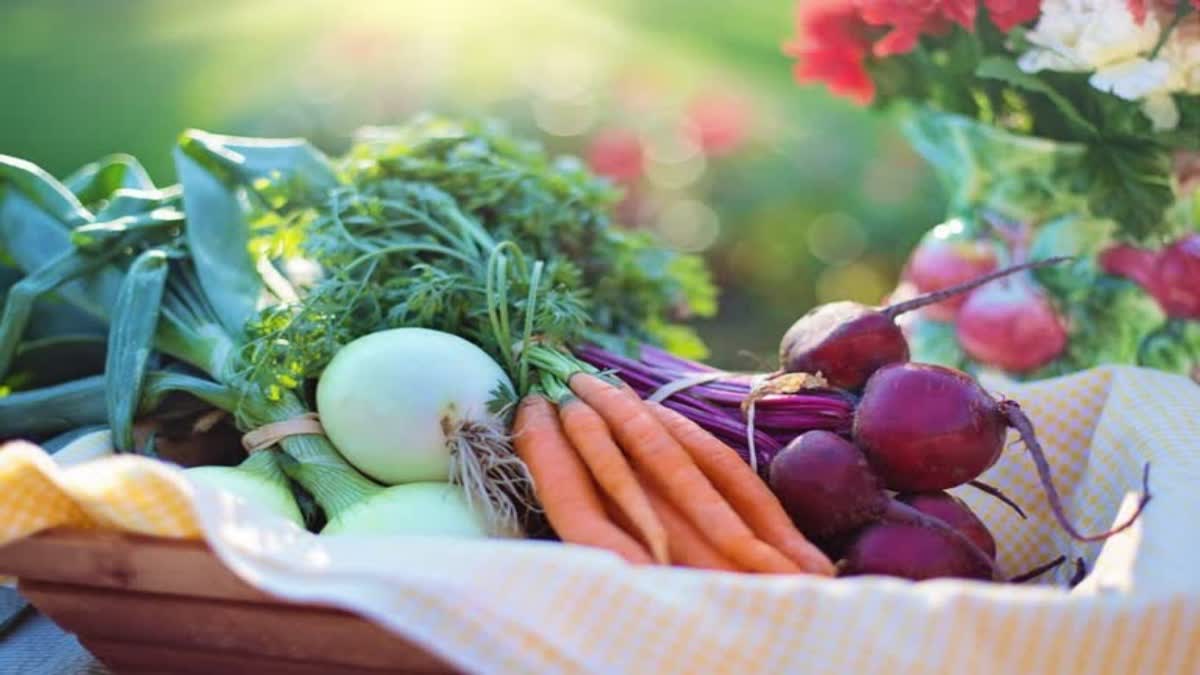 Ground Vegetables for Health Benefits News