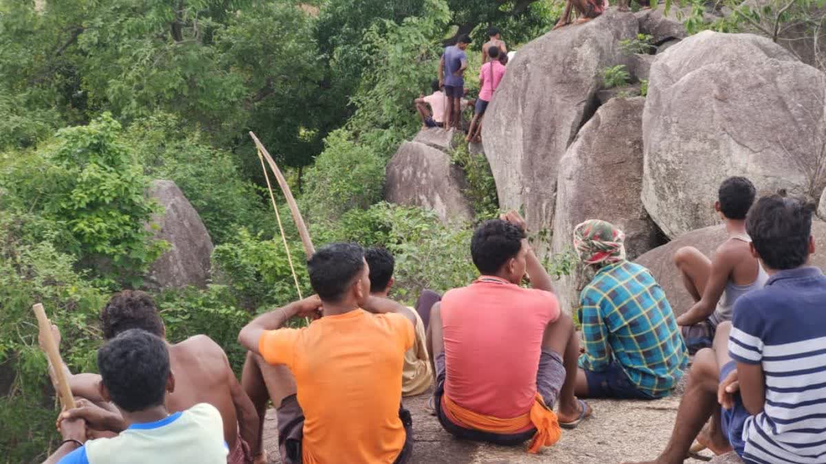 leopard in Bastar