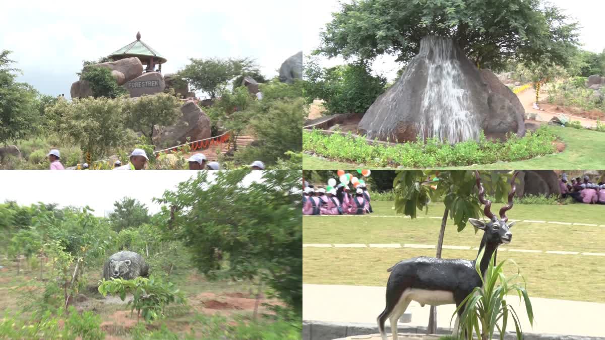 Forestrek Park in Telangana