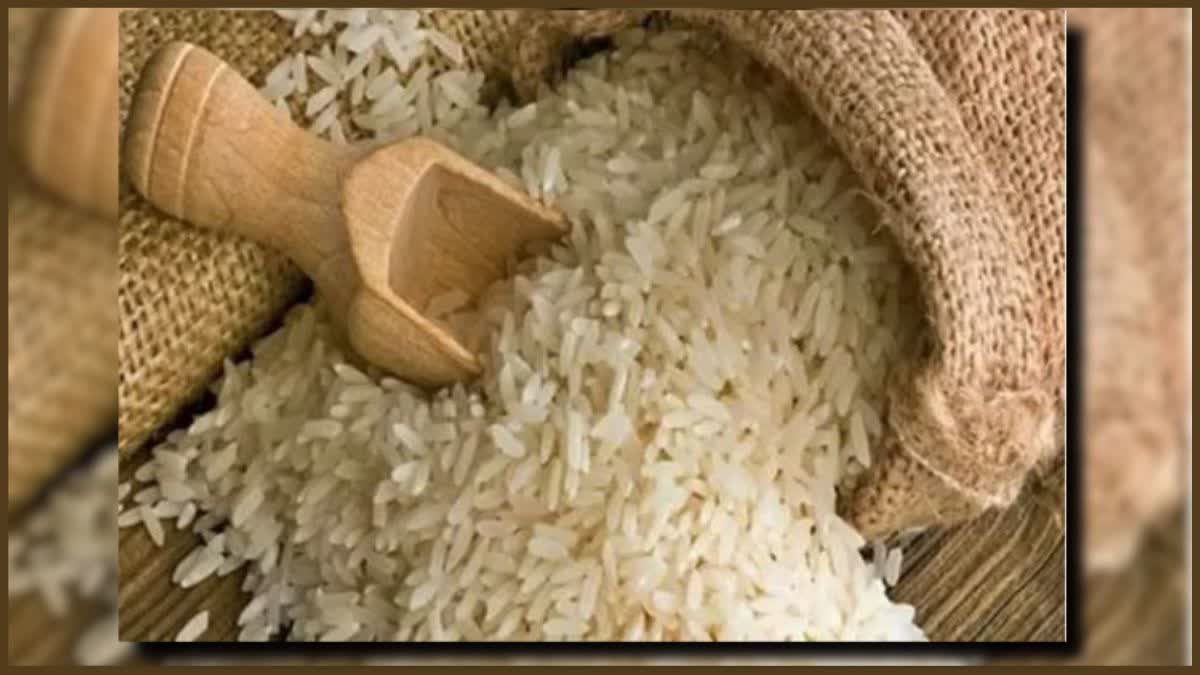 Basmati Rice Export