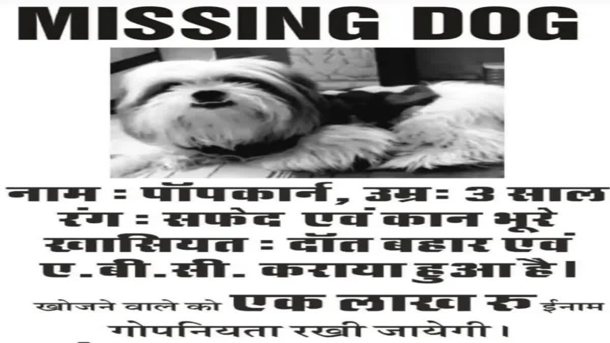 A woman from Jaipur, who was rearing a pet dog named 'Popcorn', broke down and did not consume food for four days when her dog went missing. She also declared a reward of Rs 1 lakh if anyone locates the dog. Though it sounds strange, but it is the reality. The owner of the pet dog is reportedly so attached to it,  she cannot live without it even for a moment.