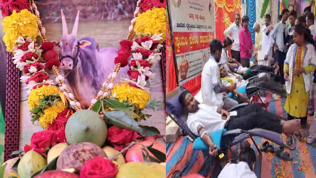 fans-celebrated-bull-death-anniversary-to-organizing-blood-donation-camp-in-haveri