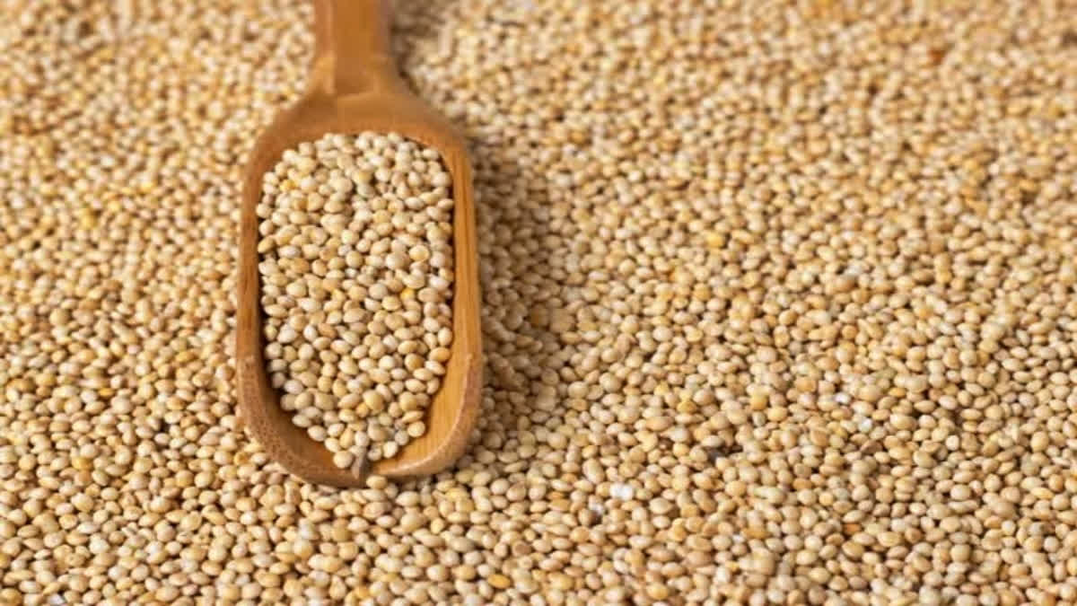 India is looking forward to tapping a $2 billion export opportunity by promoting millets – Ragi, Jowar and Bajra – and millet-based products, dubbed as a healthy and environment-friendly alternative to water-guzzling wheat and rice.