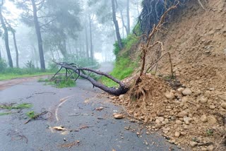 Himachal Disaster