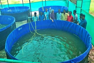 Subsidy on fish farming in jharkhand