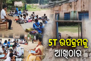 classes running under tree