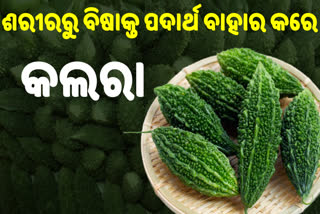 ଶରୀରର ସମସ୍ତ ମଇଳାକୁ ବାହାର କରେ କଲରା, ପ୍ରତିଦିନ ଖାଇବା ସ୍ୱାସ୍ଥ୍ୟ ପାଇଁ ହୁଏ ଲାଭଦାୟକ