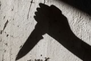 दिल्ली में सनकी व्यक्ति ने कई लोगों को मारा चाकू