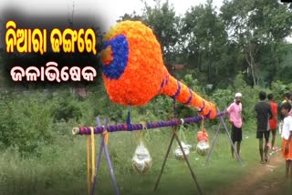 ଜଳଲାଗି ପାଇଁ ନିଆରା ଢଙ୍ଗରେ କାଉଡିରେ ଜଳ ଉଠାଇଲେ କାଉଡିଆ