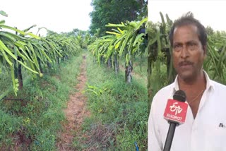 rain-deficit-in-haveri-dot-farmers-suffering-from-no-rain