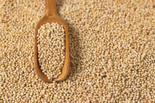 India is looking forward to tapping a $2 billion export opportunity by promoting millets – Ragi, Jowar and Bajra – and millet-based products, dubbed as a healthy and environment-friendly alternative to water-guzzling wheat and rice.