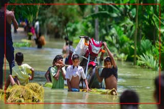 Assam flood report