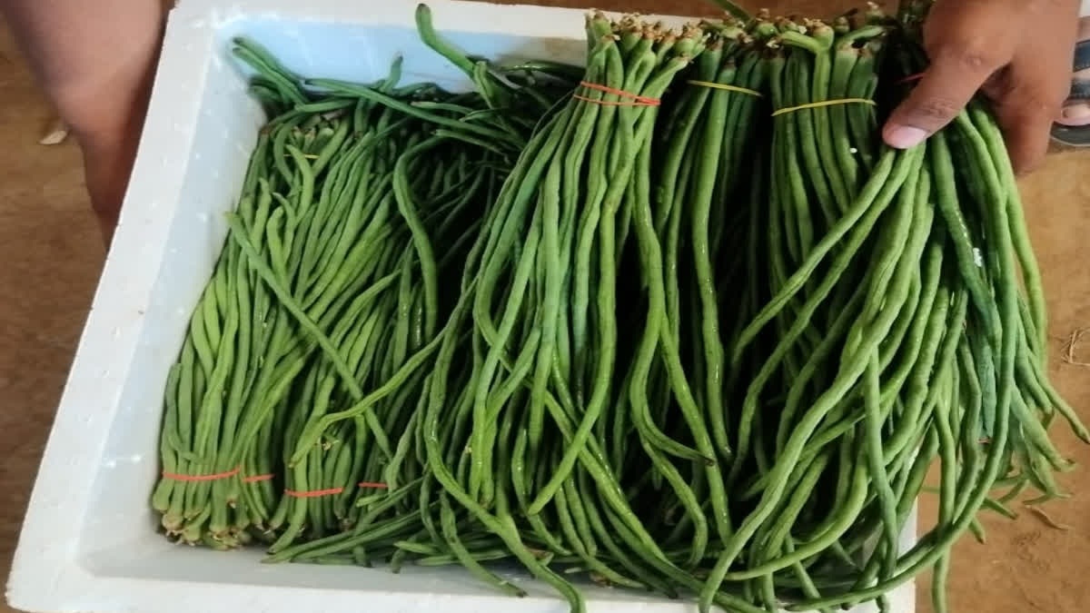 Lafa: Veggies That Look Like French Beans & Can Be Consumed Both Raw, And Cooked