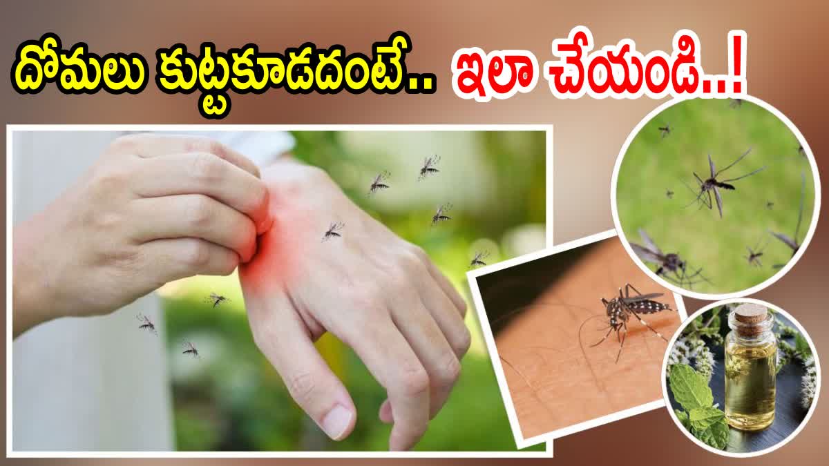 Mosquitoes Avoiding Tips