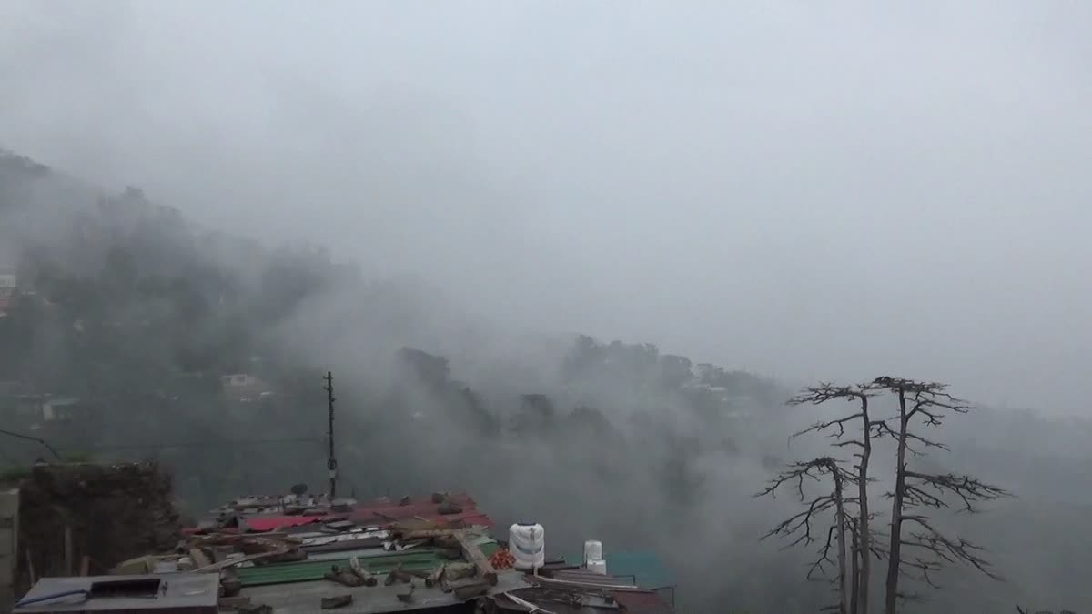 Himachal Weather Update