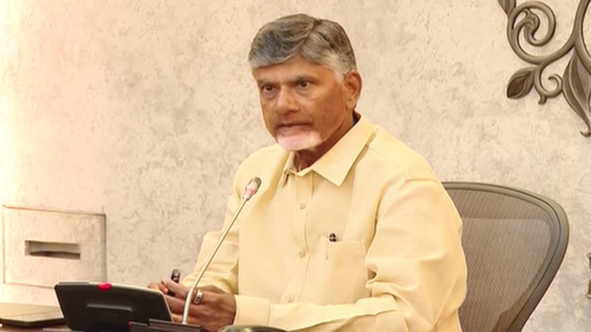 CM CBN Meeting with NITI AAYOG Representatives