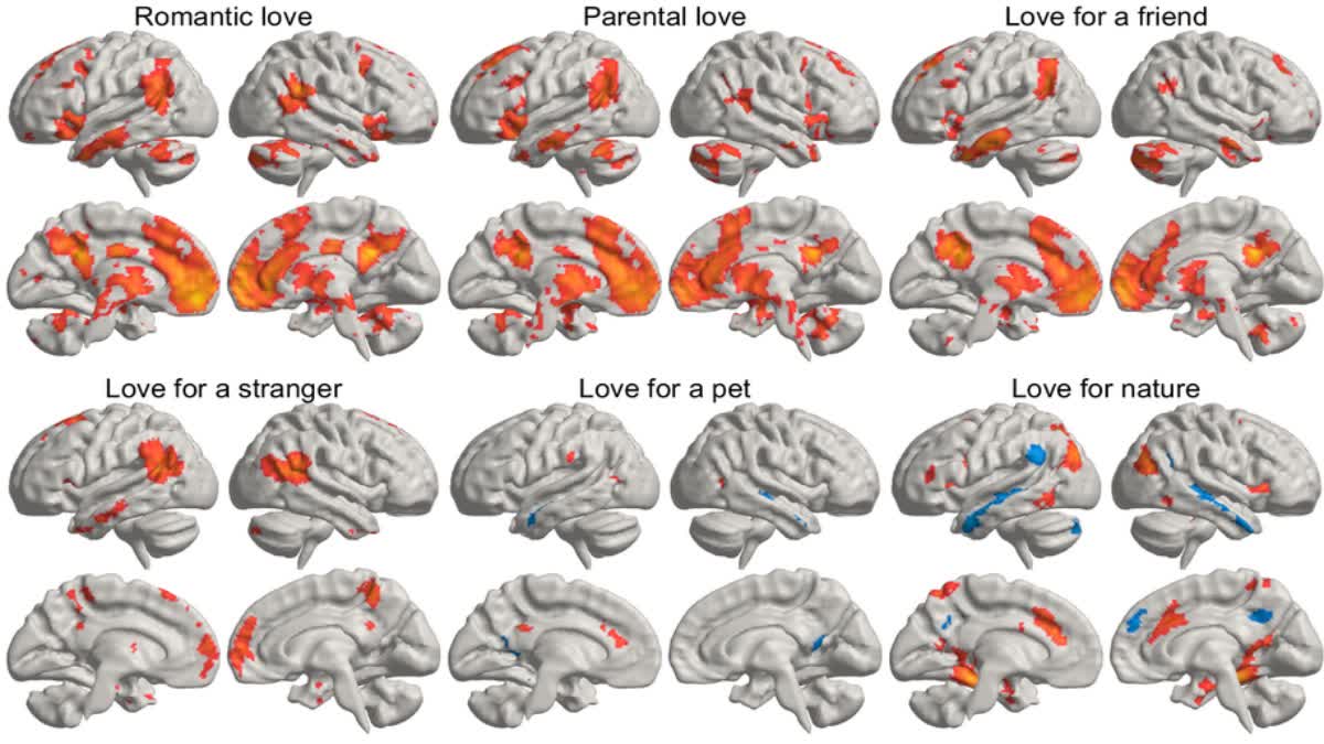 Scientists_Reveals_How_Love_Lights_Up