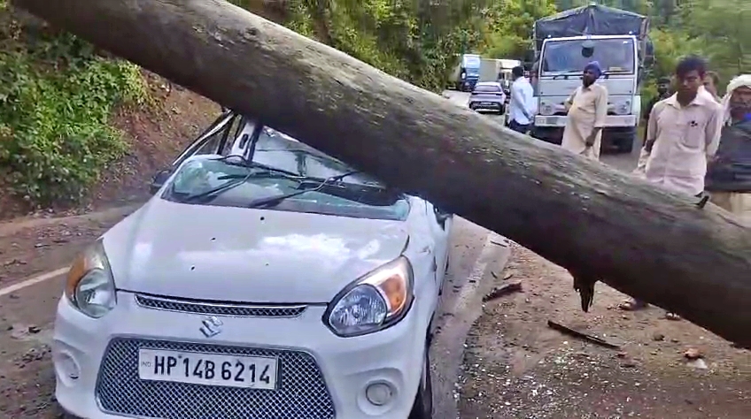 Tree falls on moving car in Subathu