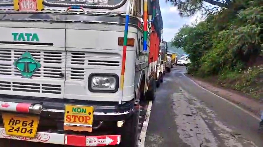 Tree falls on moving car in Subathu