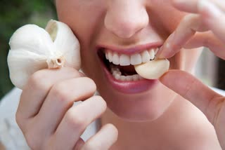 Garlic for Health News