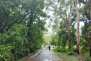 West Bengal Weather