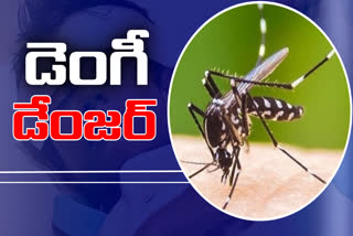 Dengue Alert in Telangana