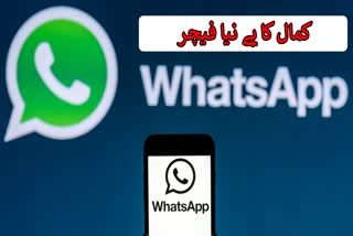 AR Video Call Effect On WhatsApp