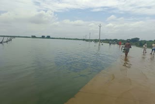 Flood Situation in Dholpur