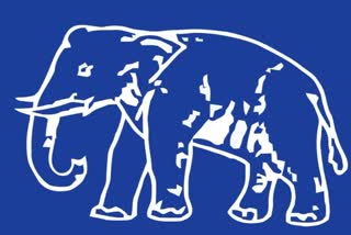 Haryana Election 2024 BSP Announced Four candidates for Haryana Election INLD BSP Alliance