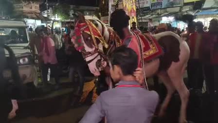 DATIA UNIQUE RITUAL ON JANMASHTAMI