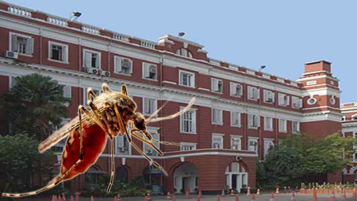 Dengue in Kolkata
