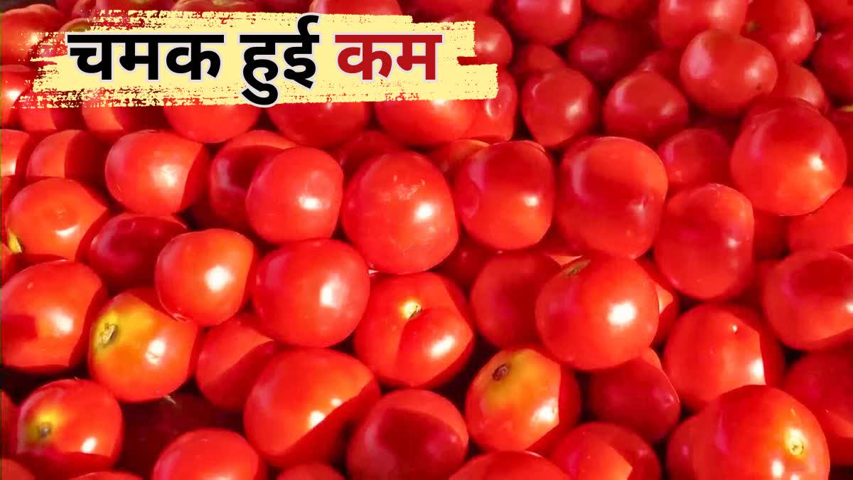 Tomato Price Decrease