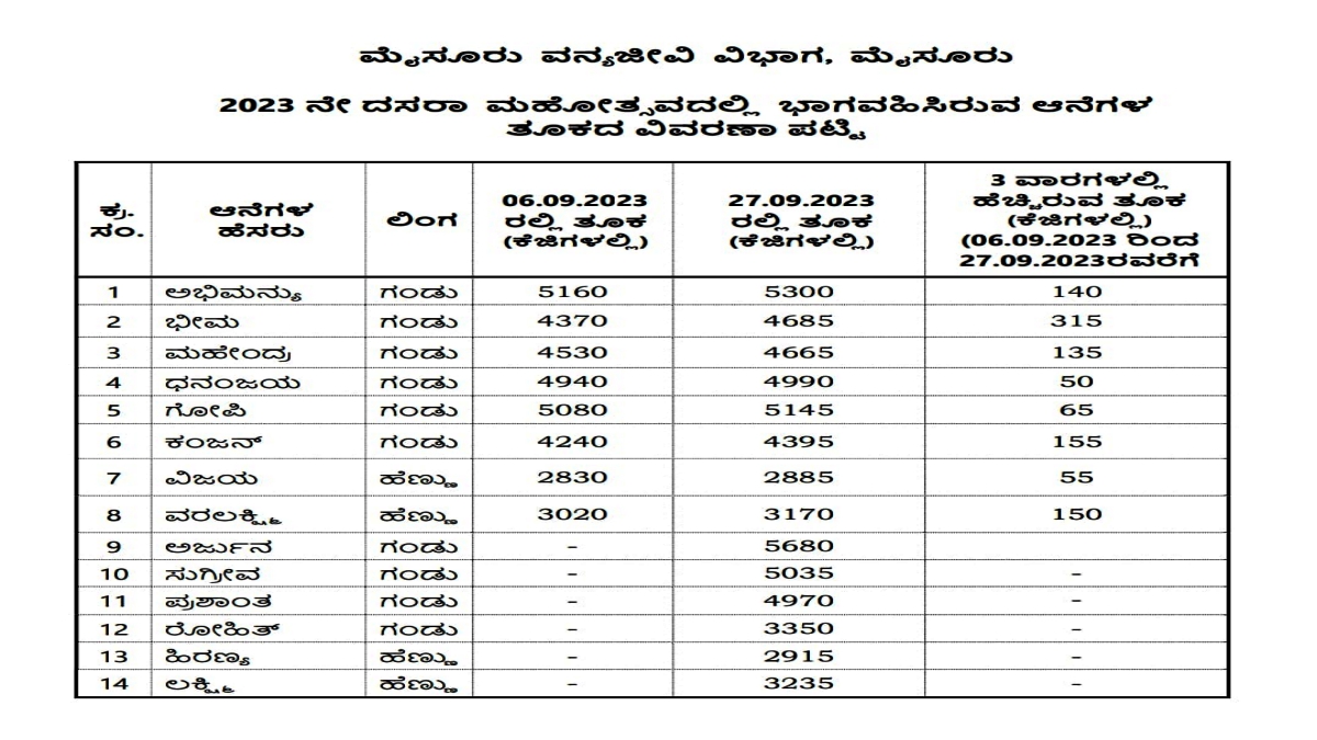 14 elephants weight test