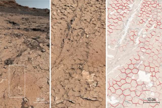 Scientists have developed a novel Artificial Intelligence-based method that can test for signs of past or present life on Mars and other planets.