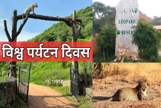 Rajasthan leopard safari jhalana