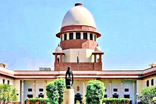 Bhima Koregaon case