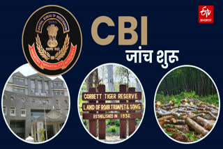 CBI probe into Corbett pakhro tree felling case