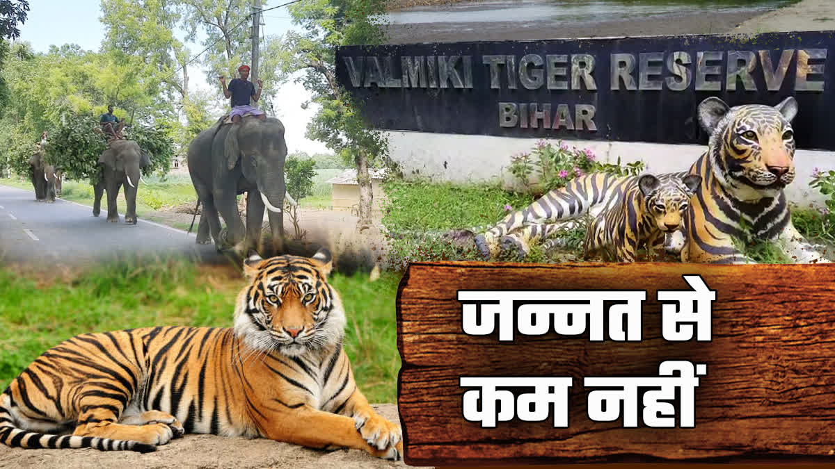 VALMIKI TIGER RESERVE