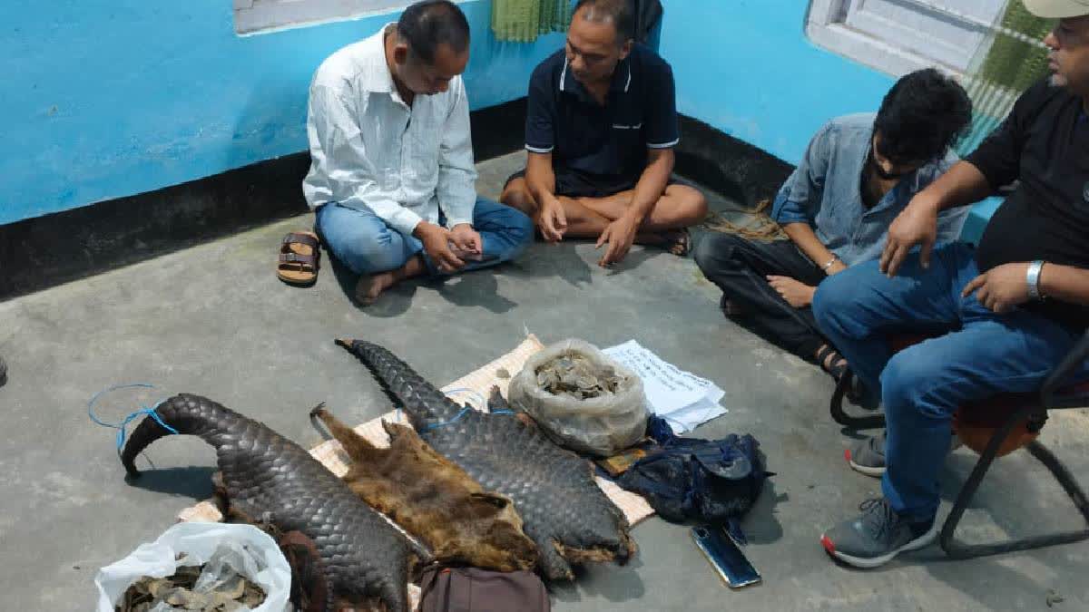 Three Held With Organs Of Endangered Animals In Assam's Tinsukia