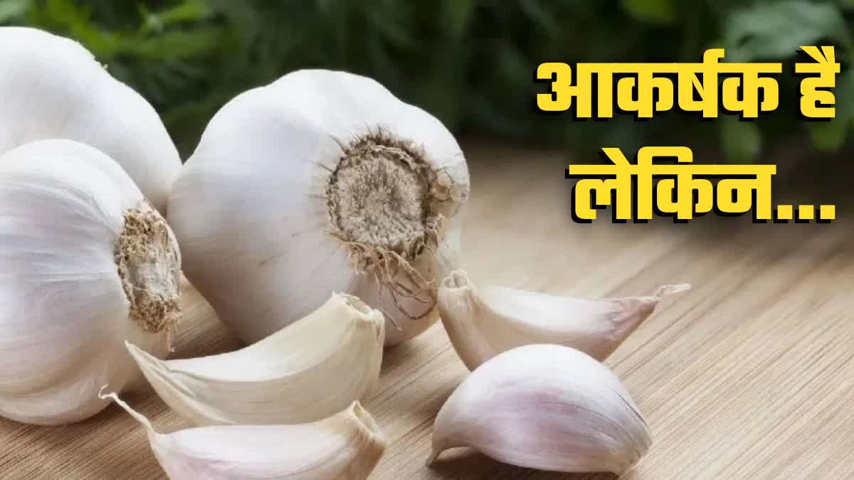 चाइनीज लहसुन