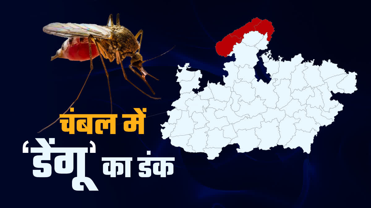 GWALIOR BECOME DENGUE HOTSPOT