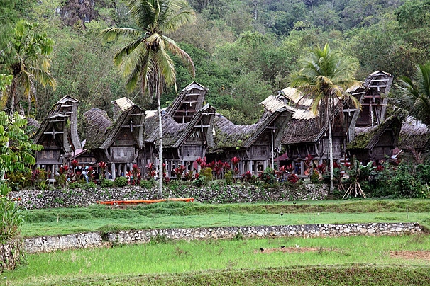 INDONESIAS TORAJAN PEOPLE  TORAJAN UNIQUE FUNERARY CUSTOM  ടൊറാജൻ ഇന്തോനേഷ്യ  മാനെനെ ചടങ്ങ് ഇന്തോനേഷ്യ