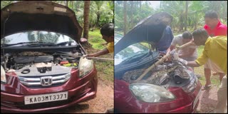 Udupi: 12 feet long python found inside car bonnet- rescue by forest officials