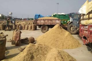 Paddy Procurement In Haryana